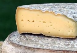 Rappel produit FROMAGERIE DU GRAND MUROLS St Nectaire Fermiers / Fromages Fermiers de type St Nectaire N d'identification vtrinaire: FR 63 124 119 CE