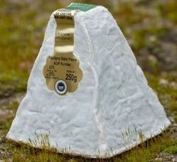 Rappel produit  POULIGNY SAINT PIERRE  Fromage de Chvre au Lait Cru AOP Commercialis  partir du 06/11/14