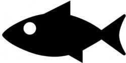Rappel produit CUISINES D'ART ROME Ds de Haddock Marins En barquette conditionne sous atmosphre  Gencod: 3760086810739